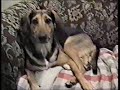 Middle of video