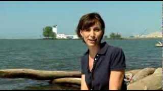 Betsy Kling - Summer Lake Effect