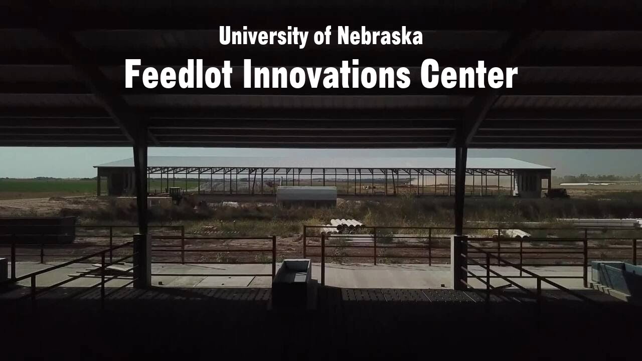Revolutionizing Nebraska Feedlots Addressing Challenges of Today and