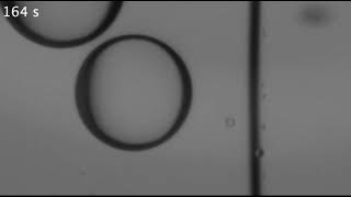 Deforming Ice with Drops