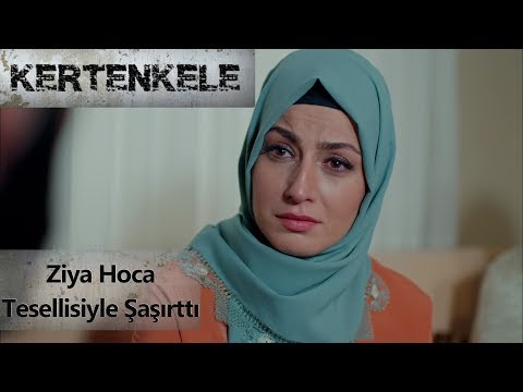 Ziya Hoca tesellisiyle şaşırttı - Kertenkele