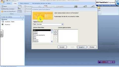 Crear formularios con el asistente.avi