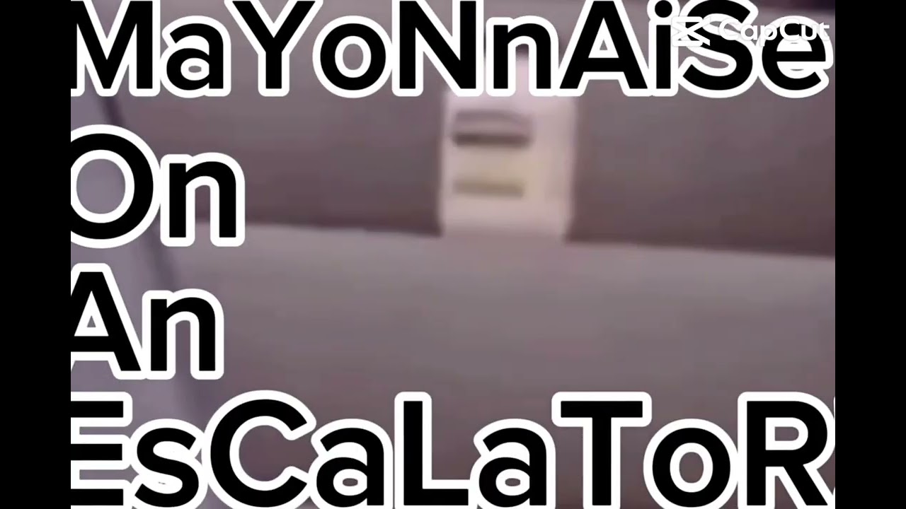 What does simp mean? 🤨🤨