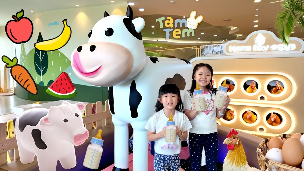Nyusuin Sapi, Ambil Telur Ayam dan Main Mainan Supermarket di Playground Anak TamTem