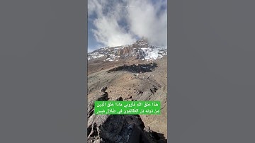 #عبدالباسط_عبدالصمد #الجزائر #تلاوة_خاشعة #تلاوة_هادئة #trending #السعودية #reels