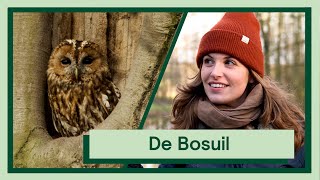 De Bosuil | Uitvogelen met Camilla