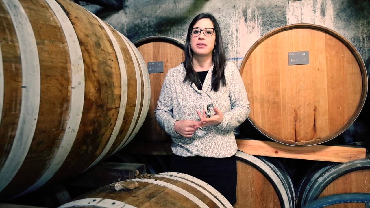 THEMATIC GUIDED TOUR IN THE COGNAC AREA by Vanessa Dejarnac