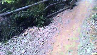 Cwmcarn Downhill 272011 Bottom Section Gary Conlon