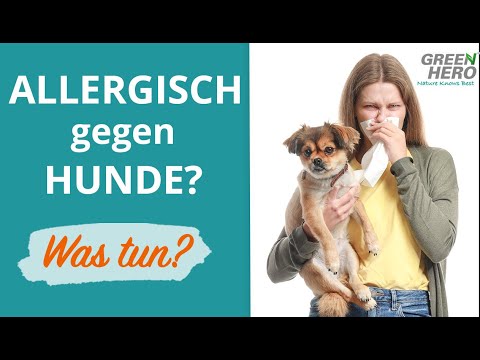 Video: Können Hunde unter Allergien wie Menschen leiden?