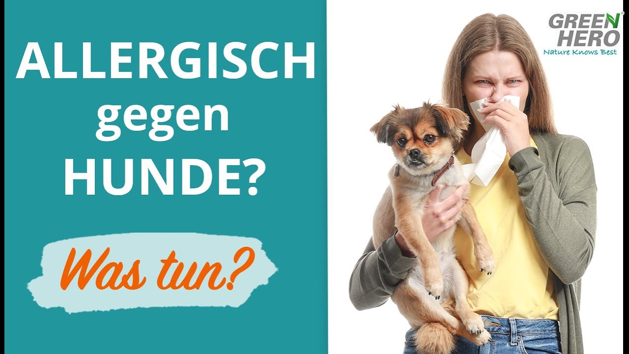 Hund trotz Diese sind allergikerfreundlich! - YouTube