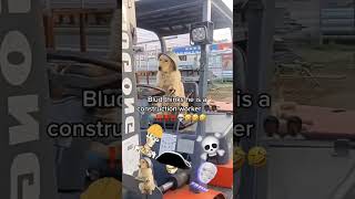 Blud Has To Pay Bills