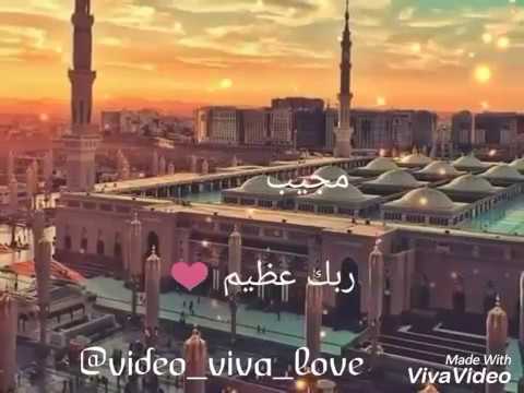 فيديوهات واتس اب كله بيعدى أحمد مكى 88