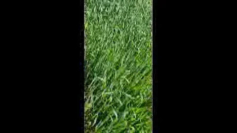 20220419 162817 001