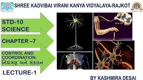 Std 10/Science/Chapter-7 ✳️Control & Coordination- નિયંત્રણ અને સંકલન/Lecture-1