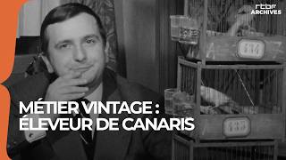 Métier Vintage Éleveur De Canaris - Rtbf Archives
