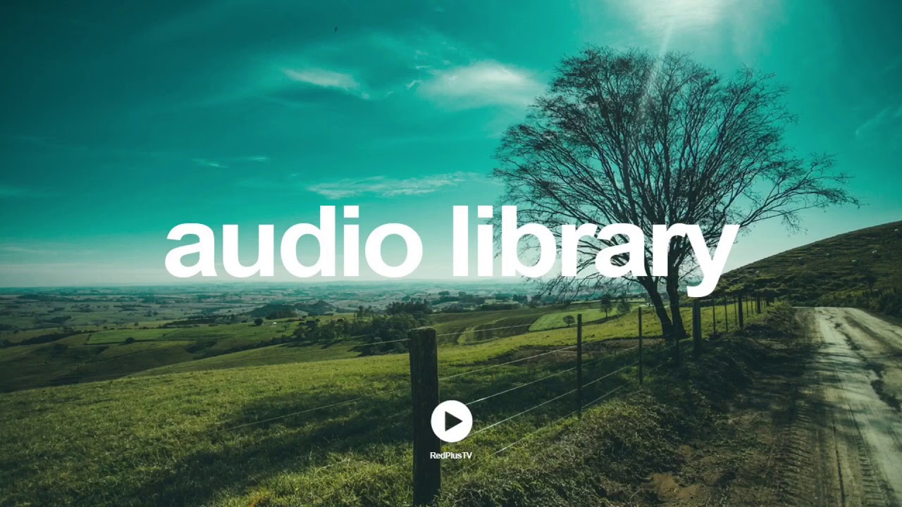 All You Need To Know About The  Audio Library