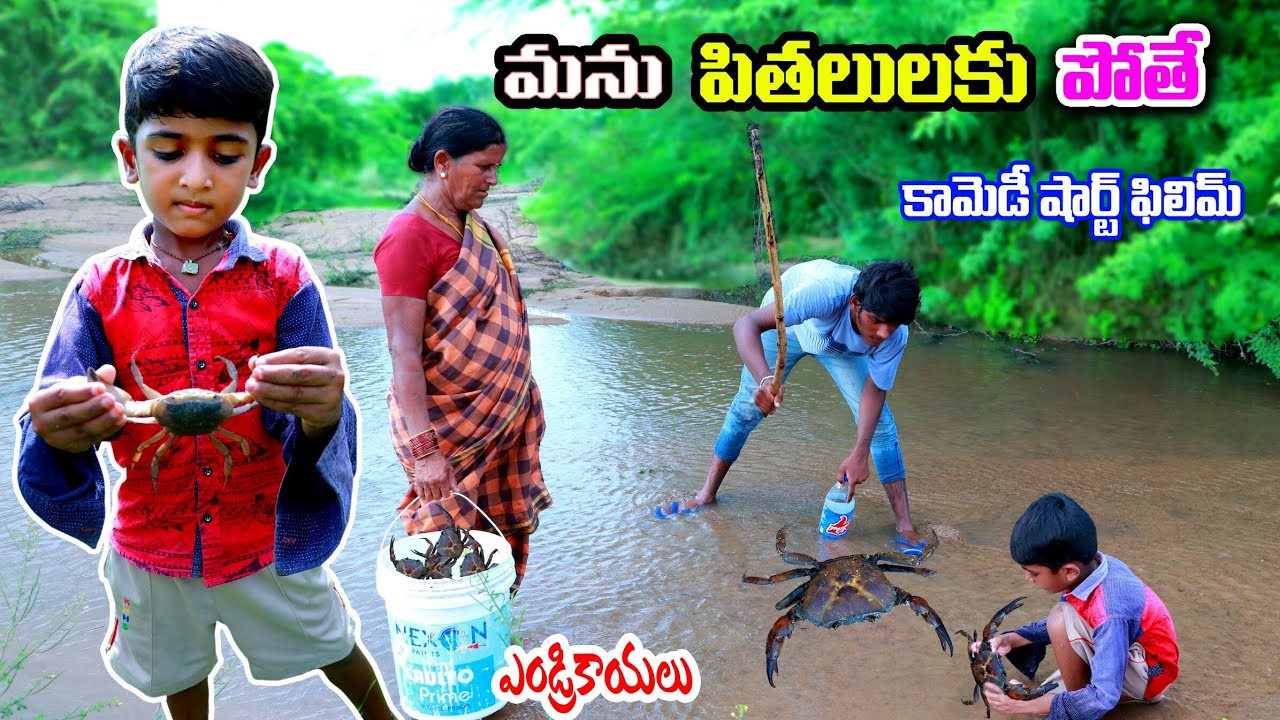 andrikayalaku pothe manu || pithalu pattuthe manu || village comedy || telugu letest all atoz