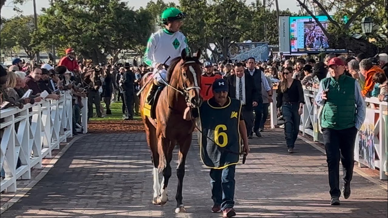 kentucky-derby-winner-mystik-dan-returns-to-the-races-in-the-grade-i