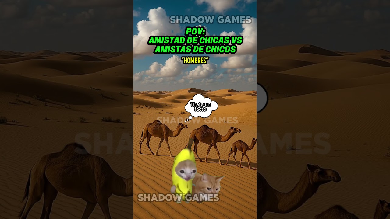 Amistad de chicas vs amistad de chicos  