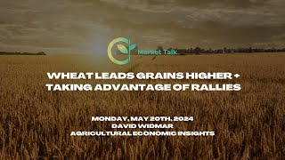 Wheat Leads Grains Higher   Taking Advantage of Rallies