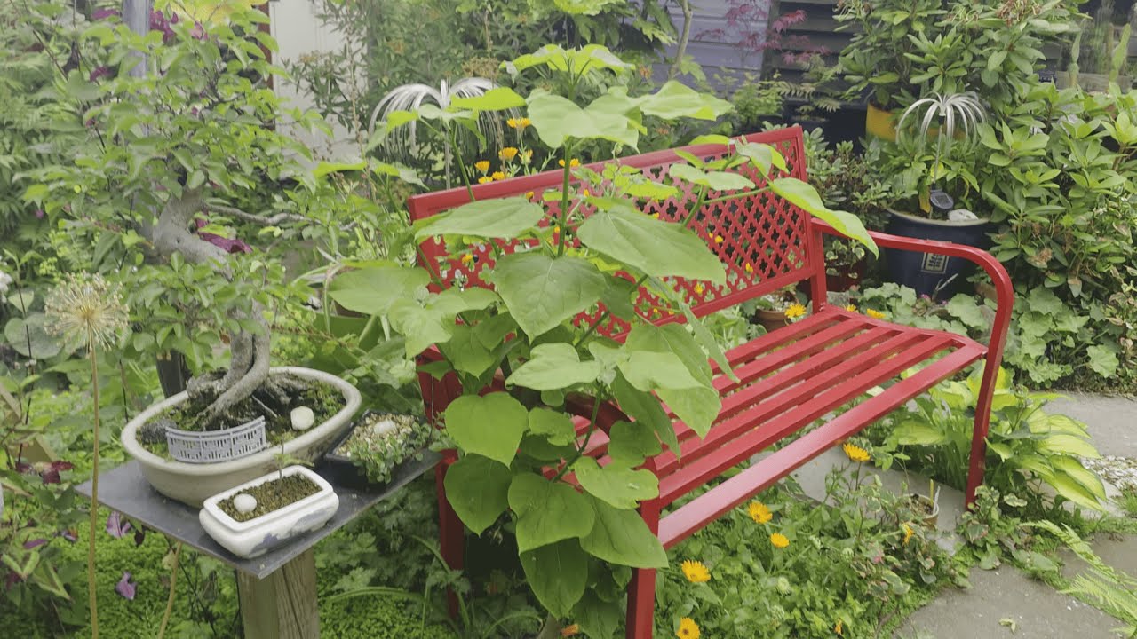 2025 December 7th Gardening Calendar 49 getting ready for Winter