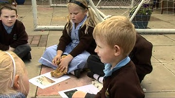 deBono Six Thinking Hats in the Classroom