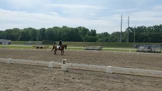 Training Level Test 1 Open AHANE 2019
