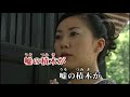 嘘の積木 沢井明 cover yositaka