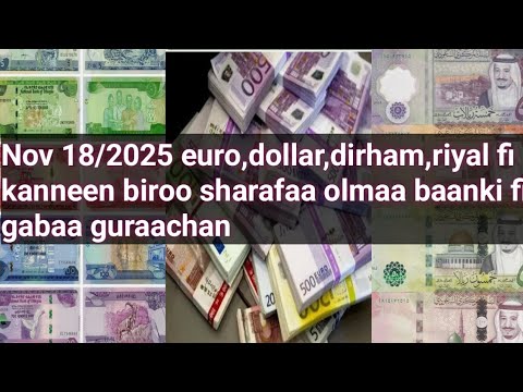 Olmaa Sharafaa Nov 18 2025 Baanki Fi Gabaa Guraachan Dollar Euro Dirham Riyal Fi Kanneen Biroo