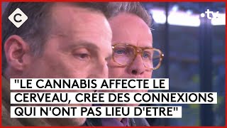 Cannabis, une enquête de Mathieu Kassovitz & Antoine Robin  C à Vous  01/04/2024