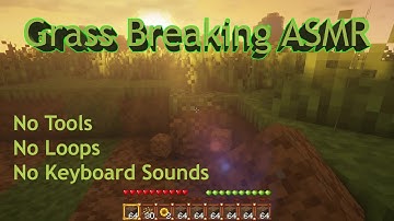 MineCraft ASMR: Grass Block Breaking (30 Minutes, No Keyboard, No Tools, Study, Chill, Sleep, Relax)