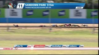 SAN SUN 24 FEB 14 R11