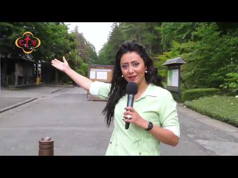 قصة ظهور و معجزات كنيسة العذراء بانو أم الفقراء بلجيكا من برنامج سفيرة السماء مع هبه كميل