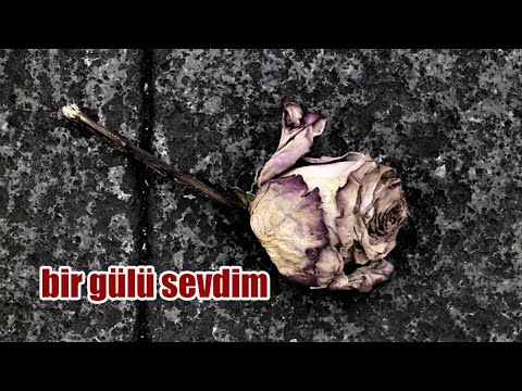 Bir Gülü Sevdim Anatolian Music 