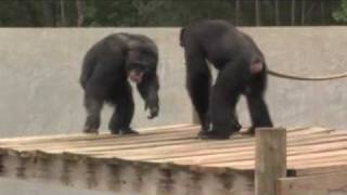 Henry's Miraculous Recovery