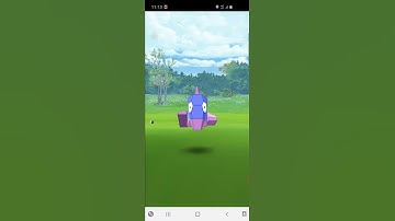 pokemon polygon shiny