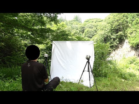 俺の山に潜む虫達を呼び集める