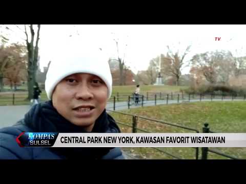 Video: Taman Kota New York Terbaik