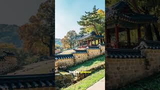 【3.29/East Asia】Polar Vortex Disruption! 🇰🇷❄️ The Korean Peninsula is Frozen! 🚨