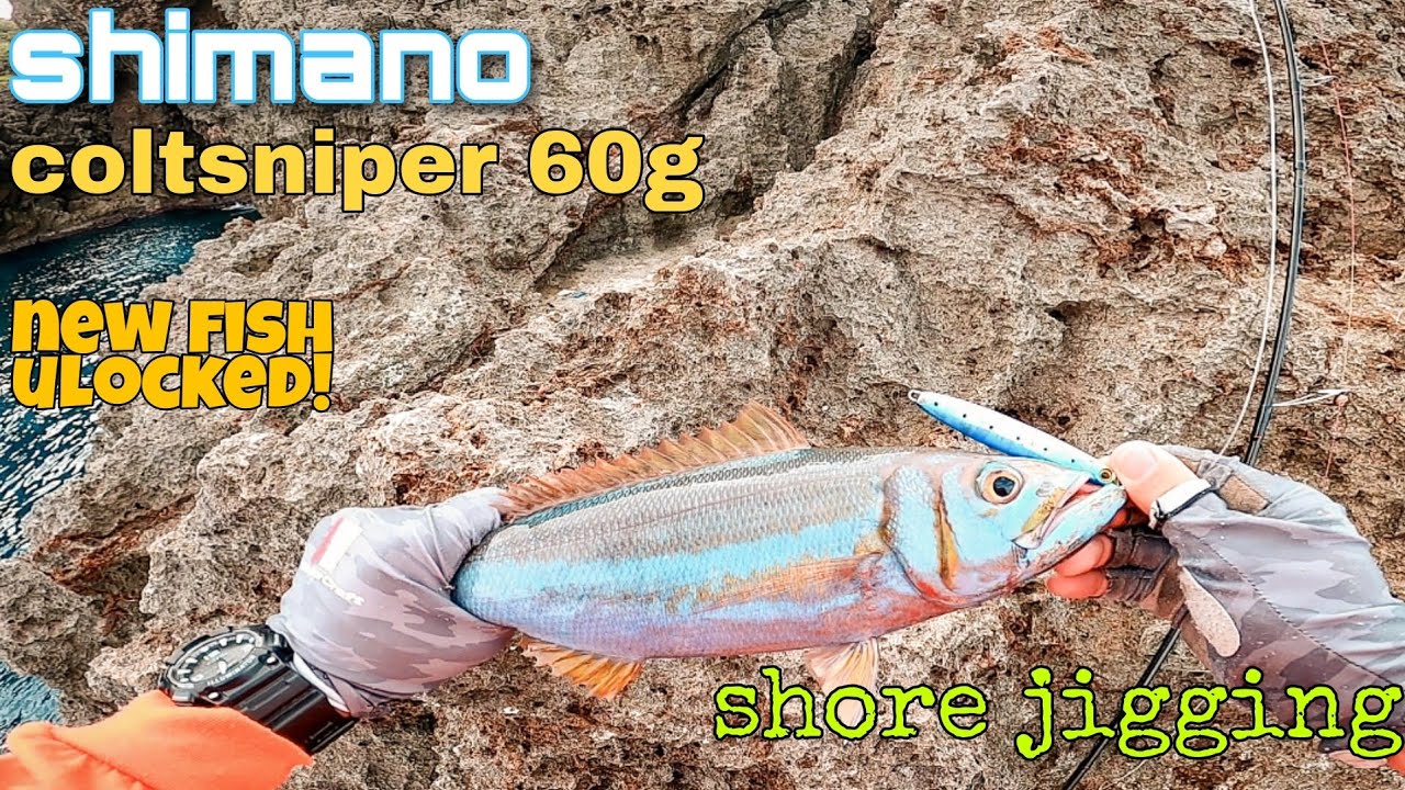 Shimano Coltsniper 60g jig  Shore jigging New Fish Unlocked