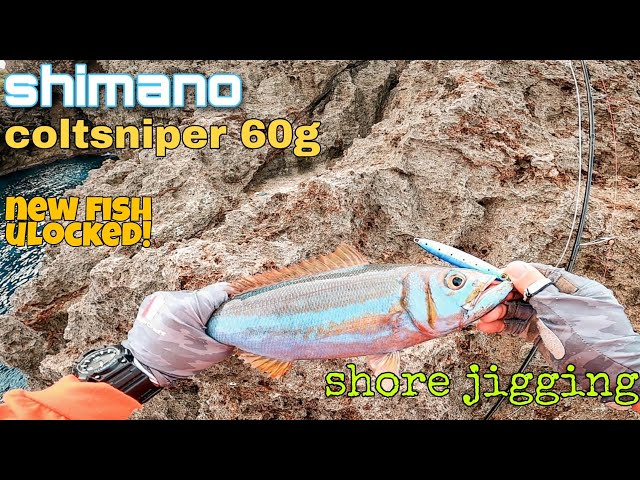 Shimano Coltsniper 60g jig  Shore jigging New Fish Unlocked! 