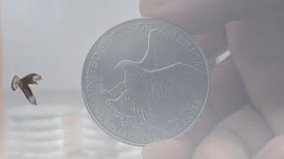 American Silver Eagle Soaring