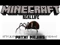 MINECRAFT IN REAL LIFE #02 SPIDER | Patxi Mejias