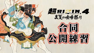 RIZIN FIGHTING FEDERATIONの配信のサムネイル画像