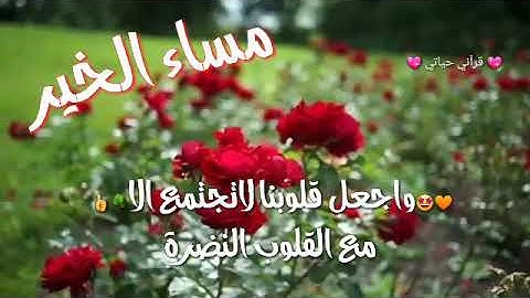 حالات واتس اب مسائية قصيرة 🌺💖اذكار المساء 🌿❤️ مساء الخير 🌹 استوريات مساء الورد