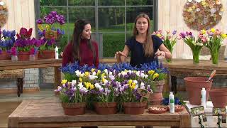 Roberta's 75-piece Colorful Quilt Collection on QVC