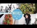 Weekly Vlog: MY GYM ROUTINE, HEALTHY DINNERS, VEG RECIPE+ A CHRISTMAS PRESENT!| Zeinah Nur