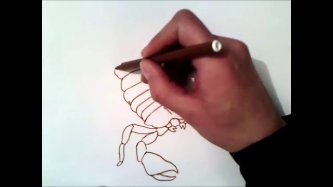 サソリの描き方 Youtube