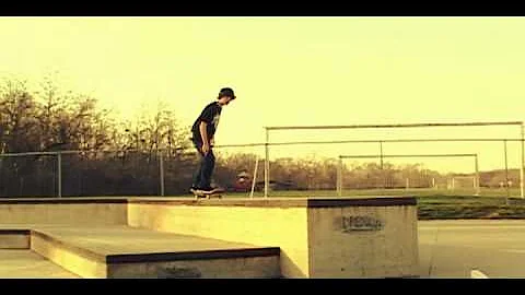 WILD.-Shawn Simms