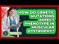 How Do Genetic Mutations Affect Phenotype In Muscular Dystrophy?